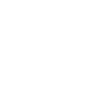 Oticon1